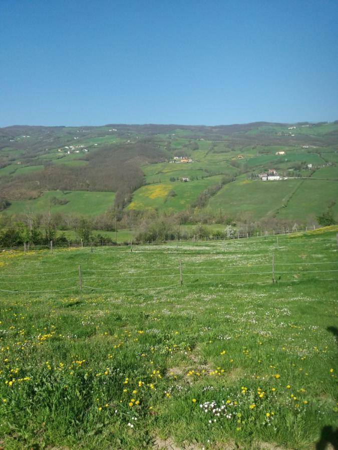 Fattoria Ca' Di Fatino Bed & Breakfast Castiglione dei Pepoli Exterior photo